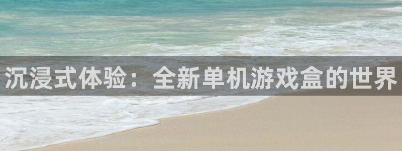 沉浸式体验：全新单机游戏盒的世界