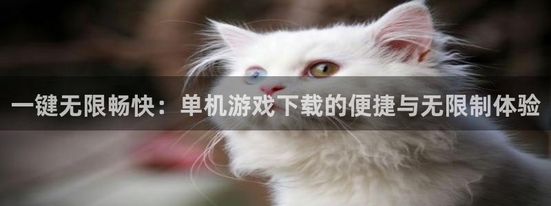 欧陆娱乐欢迎访问：一键无限畅快：单机游戏下载的便捷与无限制体