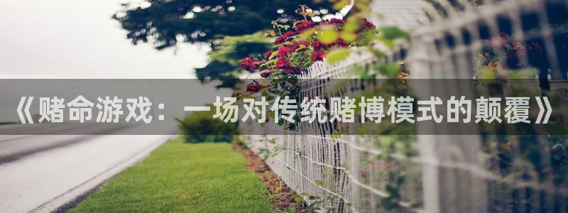 欧陆娱乐平台是正规的吗：《赌命游戏：一场对传统赌博模式的颠覆