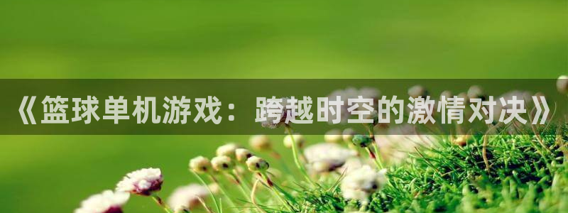 欧陆娱乐平台数字货币充值是真的吗：《篮球单机游戏：跨越时空的