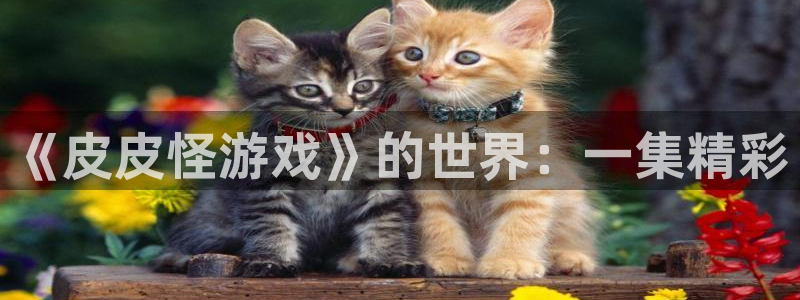 欧陆娱乐测速登录失败：《皮皮怪游戏》的世界：一集精彩